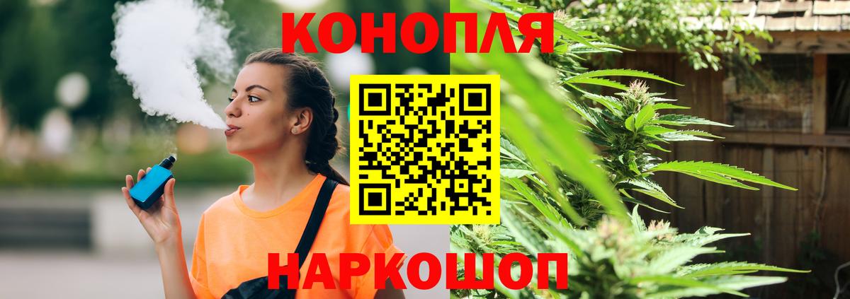 Конопля MAZAR  Бошки марихуана ГИДРОПОН  Якутск  Вход с VPN  Бошки марихуана планчик 